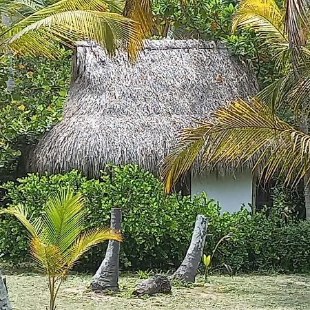 Playa Pikua Ecolodge Guachaca Exterior foto