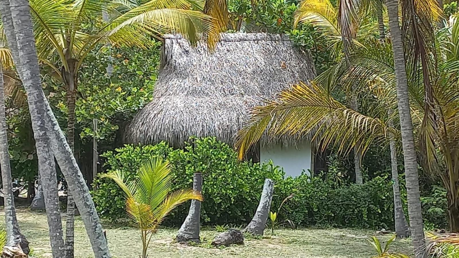 Playa Pikua Ecolodge Guachaca Exterior foto