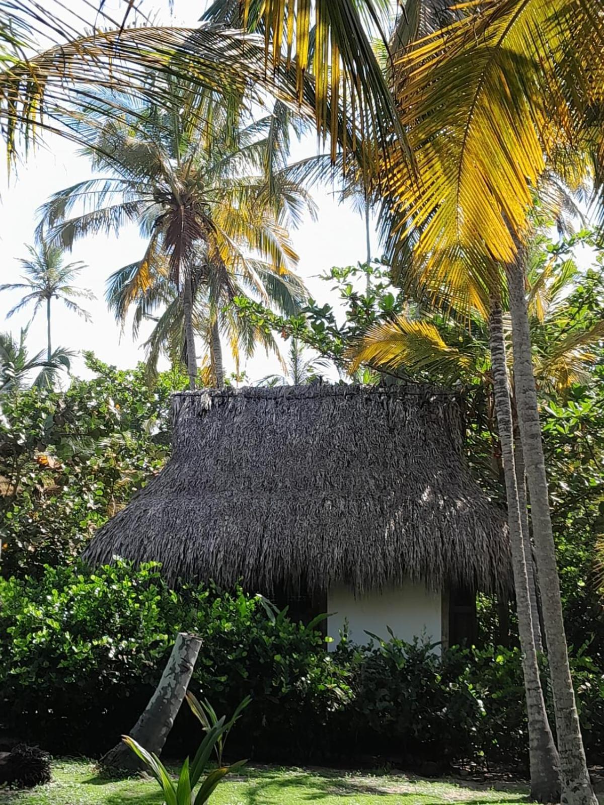 Playa Pikua Ecolodge Guachaca Exterior foto